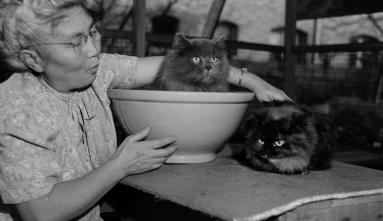 Toyo Miyatake / Rafu Shimpo Collection